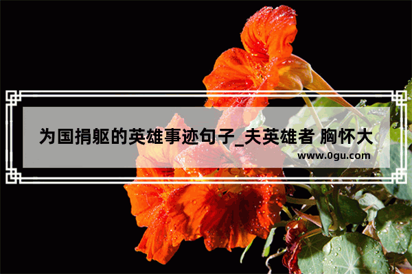为国捐躯的英雄事迹句子_夫英雄者 胸怀大志 腹有良谋 有包藏宇宙之机 吞吐天地之志也。的意思是什么