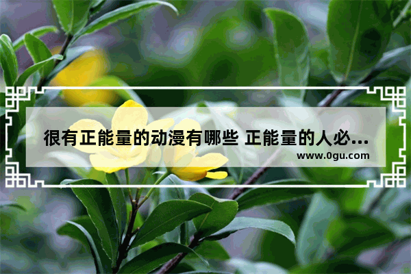 很有正能量的动漫有哪些 正能量的人必成功的句子