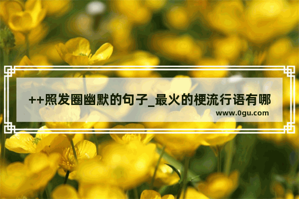 ++照发圈幽默的句子_最火的梗流行语有哪些