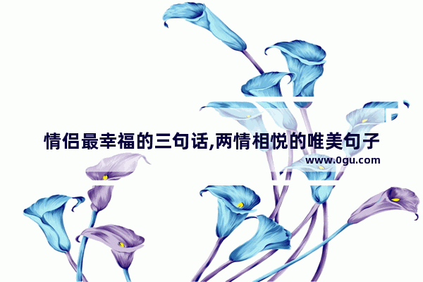 情侣最幸福的三句话,两情相悦的唯美句子