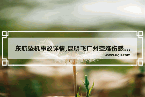 东航坠机事故详情,昆明飞广州空难伤感句子