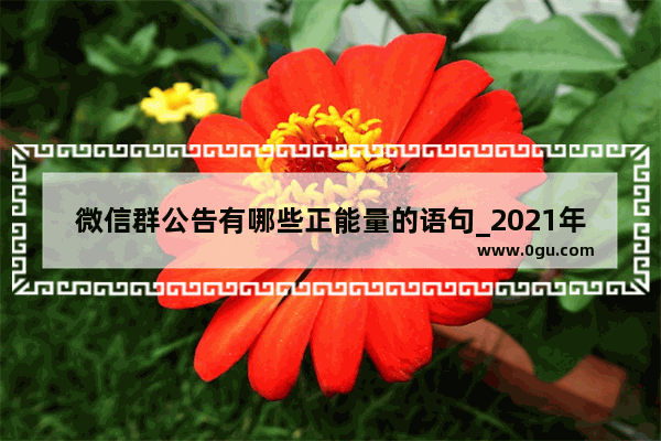 微信群公告有哪些正能量的语句_2021年霸气年会正能量主题及口号