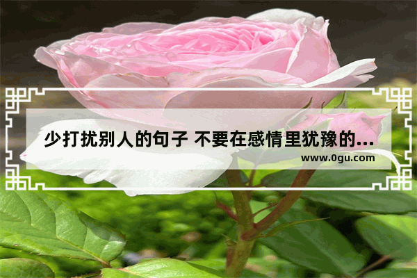 少打扰别人的句子 不要在感情里犹豫的句子