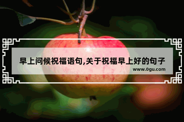 早上问候祝福语句,关于祝福早上好的句子
