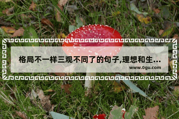 格局不一样三观不同了的句子,理想和生活背道而驰的句子