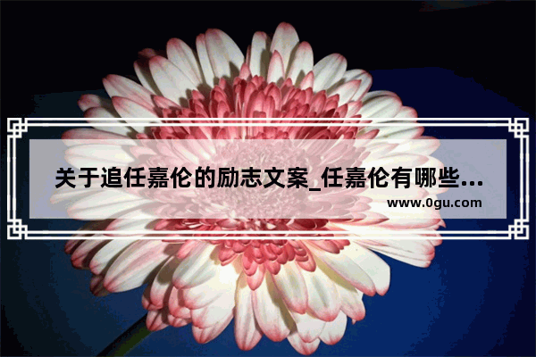 关于追任嘉伦的励志文案_任嘉伦有哪些激励人的小故事
