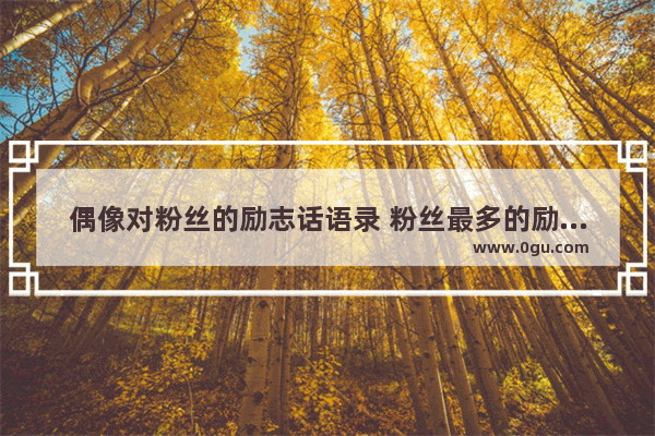 偶像对粉丝的励志话语录 粉丝最多的励志正能量句子