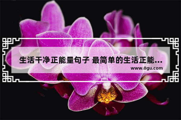 生活干净正能量句子 最简单的生活正能量句子