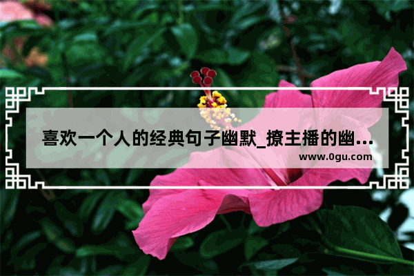 喜欢一个人的经典句子幽默_撩主播的幽默句子