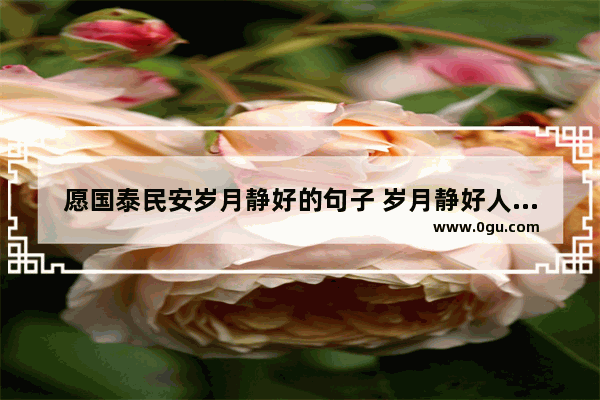愿国泰民安岁月静好的句子 岁月静好人生无恙句子
