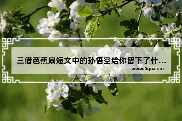 三借芭蕉扇短文中的孙悟空给你留下了什么印象？请简要说明理由 写出喜欢孙悟空理由的句子