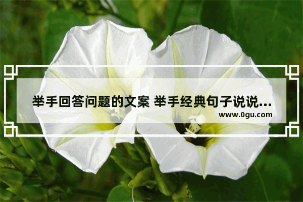 举手回答问题的文案 举手经典句子说说心情