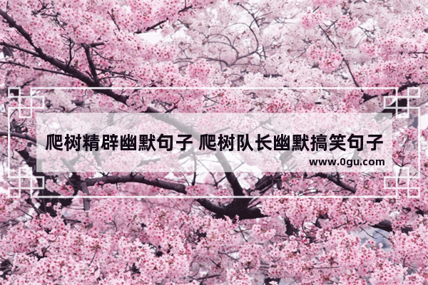 爬树精辟幽默句子 爬树队长幽默搞笑句子