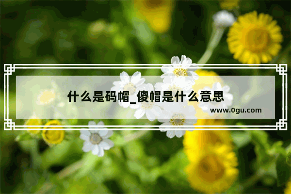 什么是码帽_傻帽是什么意思