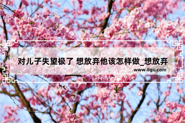 对儿子失望极了 想放弃他该怎样做_想放弃的伤感的句子