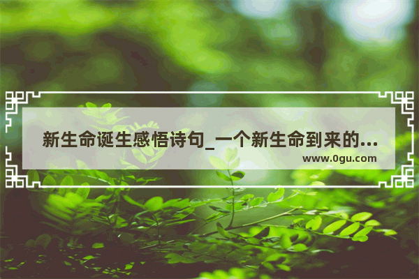 新生命诞生感悟诗句_一个新生命到来的句子
