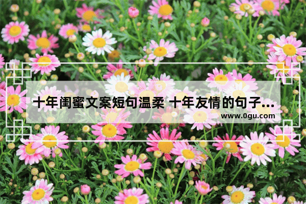 十年闺蜜文案短句温柔 十年友情的句子唯美
