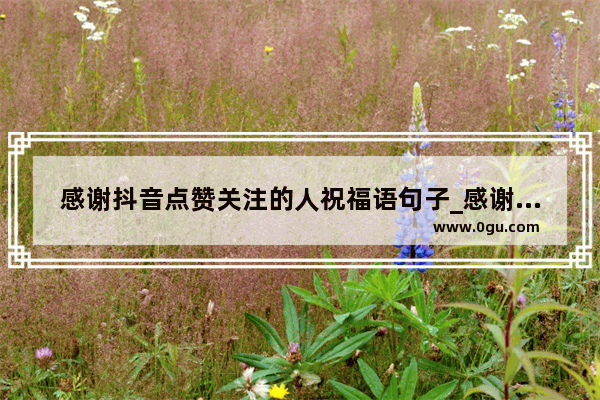 感谢抖音点赞关注的人祝福语句子_感谢网友的支持的诗句