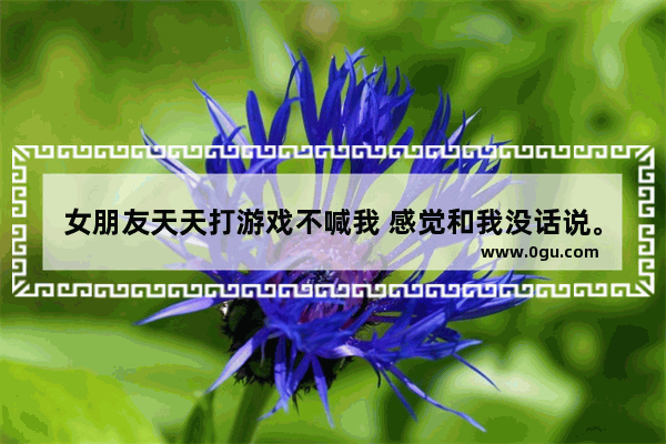 女朋友天天打游戏不喊我 感觉和我没话说。玩上游戏不理我 感觉没有我这个男朋友一样 打游戏产生了感情的句子