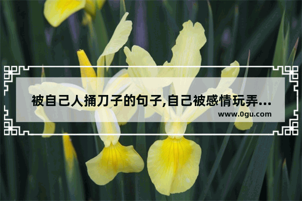 被自己人捅刀子的句子,自己被感情玩弄的句子说说