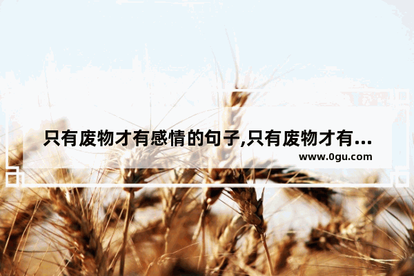 只有废物才有感情的句子,只有废物才有感情的句子