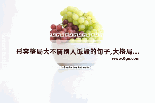 形容格局大不屑别人诋毁的句子,大格局宽容对待感情的句子