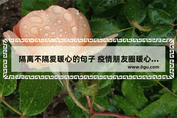 隔离不隔爱暖心的句子 疫情朋友圈暖心句子短句