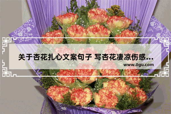 关于杏花扎心文案句子 写杏花凄凉伤感的句子