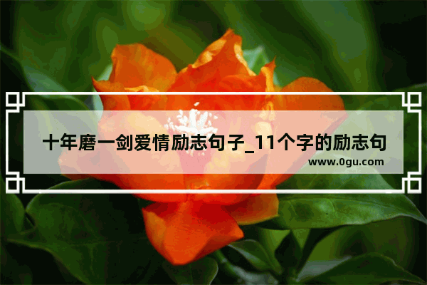 十年磨一剑爱情励志句子_11个字的励志句子