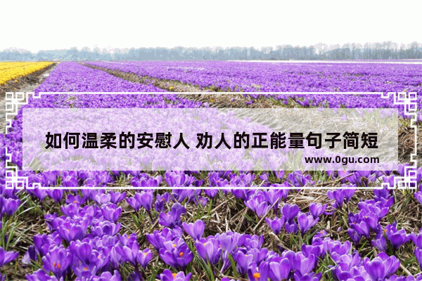 如何温柔的安慰人 劝人的正能量句子简短