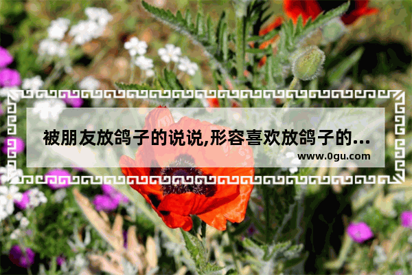被朋友放鸽子的说说,形容喜欢放鸽子的人的句子