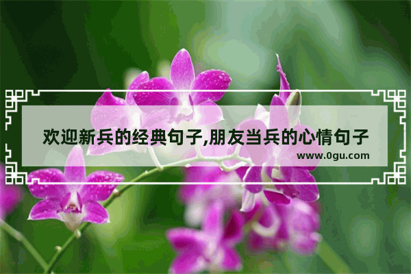 欢迎新兵的经典句子,朋友当兵的心情句子
