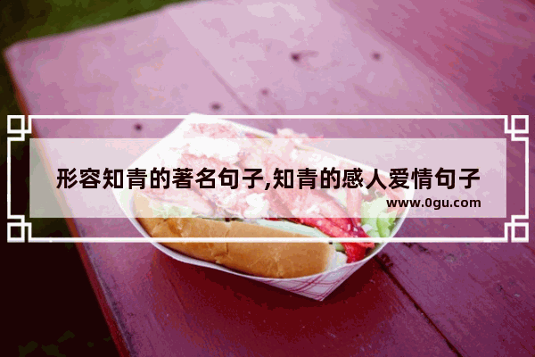 形容知青的著名句子,知青的感人爱情句子