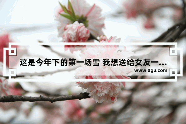 这是今年下的第一场雪 我想送给女友一些祝福话语 祝福女朋友成功的句子短句