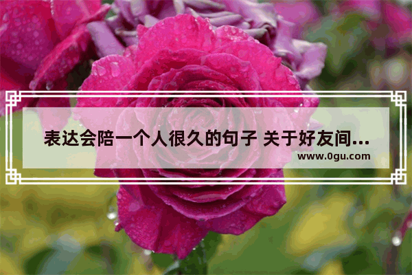 表达会陪一个人很久的句子 关于好友间感情的句子