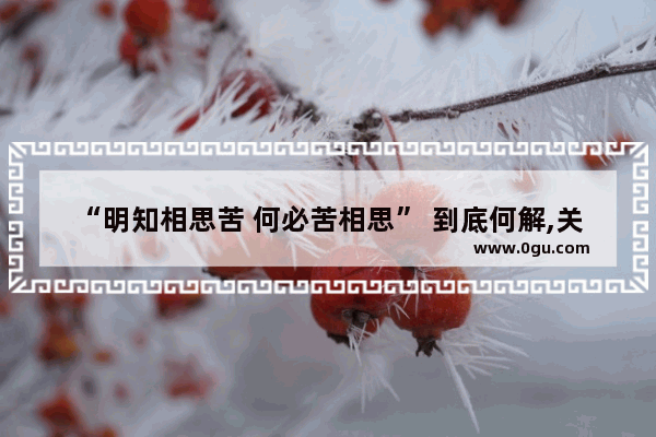 “明知相思苦 何必苦相思” 到底何解,关于相思苦的唯美句子