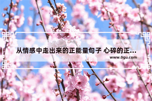 从情感中走出来的正能量句子 心碎的正能量句子可++