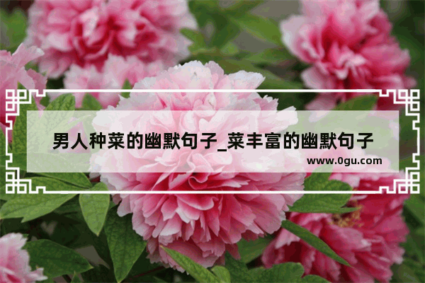 男人种菜的幽默句子_菜丰富的幽默句子