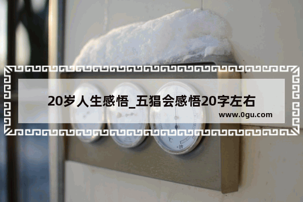 20岁人生感悟_五猖会感悟20字左右