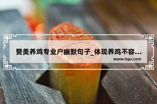 赞美养鸡专业户幽默句子_体现养鸡不容易的简短说说