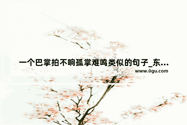 一个巴掌拍不响孤掌难鸣类似的句子_东京奥运会形容孙颖莎的诗句