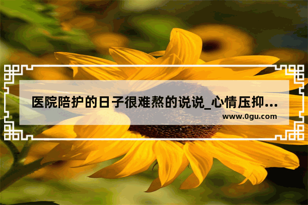 医院陪护的日子很难熬的说说_心情压抑疼痛的句子