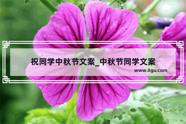 祝同学中秋节文案_中秋节同学文案