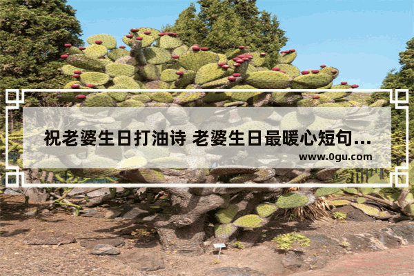 祝老婆生日打油诗 老婆生日最暖心短句子图片