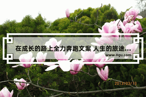 在成长的路上全力奔跑文案 人生的旅途拼搏的句子