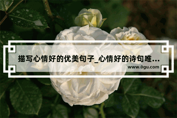描写心情好的优美句子_心情好的诗句唯美句子