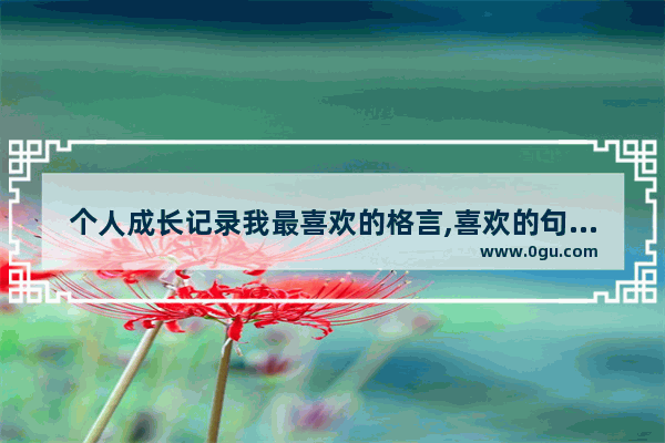 个人成长记录我最喜欢的格言,喜欢的句子和座右铭怎么写