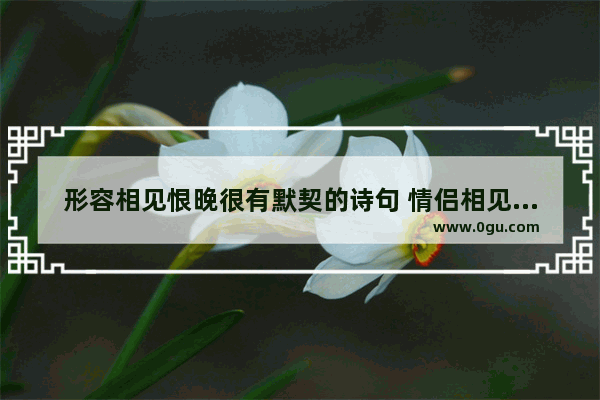 形容相见恨晚很有默契的诗句 情侣相见恨晚唯美句子