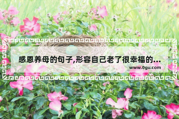 感恩养母的句子,形容自己老了很幸福的句子