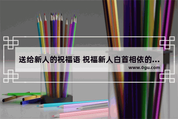 送给新人的祝福语 祝福新人白首相依的句子